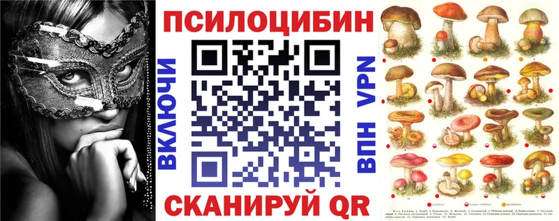 дарк нет телеграм  Ермолино  Псилоцибиновые грибы мухоморы 